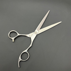 Tijeras de Peluquería Ly de 6.5 Pulgadas, Tijeras Profesionales para Peluquería para Diestros, de Acero Inoxidable, Herramientas para Salón de Belleza - Product Image 1