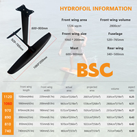 Nouveau GY BSC1060 aluminium carbone hydroptère 1051 Sqcm grande aile avant EFoil cerf-volant pagaie planche de surf pour les eaux de l'océan planche de surf
