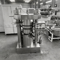 Configuration de traitement d'alimentation précise pour la manutention des graines oléagineuses et ligne de production d'huile à performance de pressage continue et stable