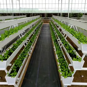 Gıda sınıfı sebzeler Nft Hydroponic büyüyen sistemler nft kanal oluk çilek ve domates için dikim Trough