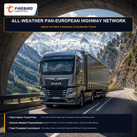 Firebird.Europe.FBA.ddp.truck.shipping.professional.customs.team.fit.heavy.pallet.goods.full.cargo.trace