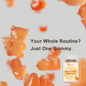 Gummies de soutien au cholestérol OEM/ODM, Gummies complexes pour un cholestérol sain et un soutien énergétique - Product Image 4