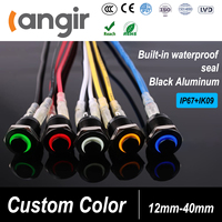 Interruptor de botón pulsador de metal negro 12V ON/OFF 1NO1NC con cabeza plana, símbolo de encendido, luz 220V, impermeable, momentáneo, con retención, 5A Máx.
