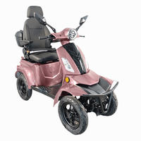 Skuter Mobilitas Listrik 4 Roda 1000W Tanpa Sikat Harga Terjangkau Kanopi Lepas Pasang Warna Dapat Disesuaikan