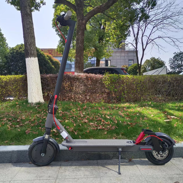 New Design 8.5inch Scooter with Full Suspension 350W Foldable Electric Scooters