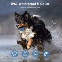 Zweiwege Kein Schock Sicherer und effektiver Hund Elektrisches Halsband mit einstellbarer Empfindlichkeit Beep Vibration