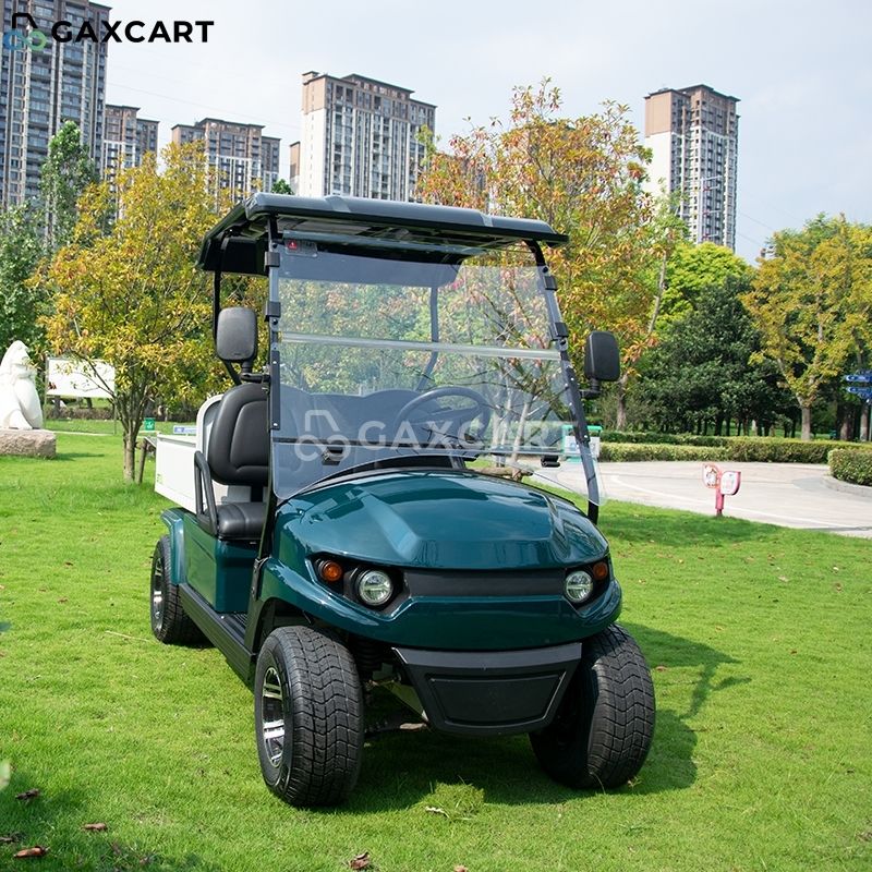 Single Seat Golf Cart G3 Fairway Rider Person Golf Buggy Raptor