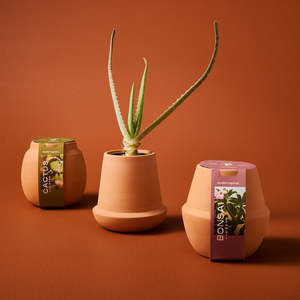 Kit di Coltivazione Moderni Biodegradabili ed Ecologici <span class=keywords><strong>per</strong></span> Casa e <span class=keywords><strong>Giardino</strong></span> - Product Image 5