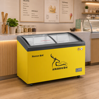 Congélateur vitrine pour crème glacée Xuecun SD/SC-268Y, 2 portes, 4 étagères, capacité 268L, congélation à -18°C, refroidissement direct, contrôle numérique