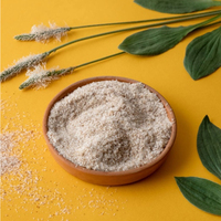 Fournisseur d'usine Ciyuan, prix de gros, poudre de coquille de psyllium de haute qualité