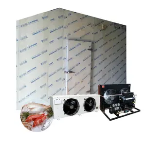 40cbm 12tons Insulated Doors Cold Room With Energy Saving For Fish Storage