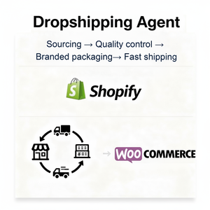 Agente de Dropshipping, Agente de Abastecimiento para Shopify y Aliexpress con Servicios Profesionales de Gestión de Pedidos - Product Image 1