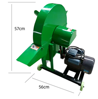 Fabrieksdirect nieuwe motor aangedreven bananenboom- en stengelsnijmachine 1000kg/uur voor gebruik in fruitverwerkingsbedrijven