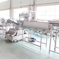 Leadworld Fruit Groente Sorteren Wassen Snijden Bevroren Productielijn Bevroren Groente Wasmachine Verwerking Lijn