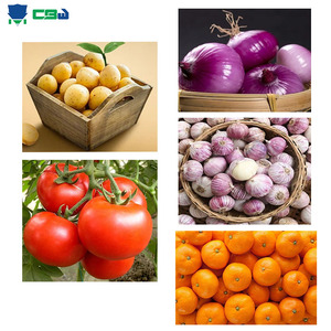 Tự động 14 đầu 5L multihead định lượng đa chức năng cà rốt củ cải khoai tây cà chua rau máy đóng gói - Product Image 2