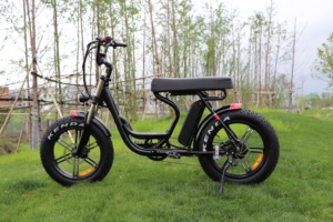 Bafang vélo de montagne électrique <span class=keywords><strong>à</strong></span> entraînement arrière pour adultes, <span class=keywords><strong>pneu</strong></span> Offre Spéciale de 20 pouces - Product Image 2