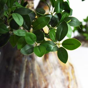 Hunan Zhangjiajie Fuyuan Yiwu popular bonsái artificial plástico Baobab árbol plantas en maceta para tienda Hotel decoración del hogar - Product Image 2