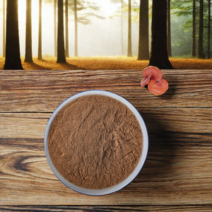 霊芝エキス粉末100% 純粋 - Product Image 2