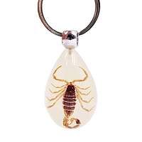 Porte-clés pendentif scorpion en résine avec spécimen d'ambre, lumineux dans le noir, simple, durable, véritable insecte, pour homme, cadeau souvenir