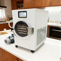 Pompe lyophilisatrice électrique automatique domestique, capacité 20 kg/h, en acier inoxydable SUS304, pour la transformation et le stockage des aliments (soupes/ragoûts)