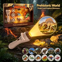 Projecteur de poche pour enfants en gros, mini projecteur portable personnalisé, jouets éducatifs précoces pour l'heure du coucher, jouets pour bébés OEM