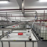 Huile parfumée au citron intense, qualité alimentaire, certifiée IFRA, parfums hautement concentrés pour liquide vaisselle