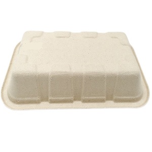 Food Grade <strong>Bagasse</strong> Pulp
