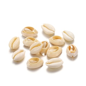 Gran oferta, 18-21mm, 16-19mm, concha <span class=keywords><strong>de</strong></span> cauri Natural, artesanía <span class=keywords><strong>de</strong></span> concha marina ovalada dorada para <span class=keywords><strong>hacer</strong></span> joyas DIY, accesorios <span class=keywords><strong>de</strong></span> playa - Product Image 2