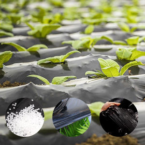 Película de Cobertura Biodegradable de Polietileno Negro y Plateado para Invernadero, Supresor de Malezas, Uso Agrícola - Product Image 5