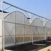 Kit de serre en film plastique multi-spans personnalisable pour l'agriculture, la culture hydroponique de tomates, de choux et de laitues