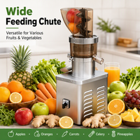 Nouvelle Machine à Jus Industrielle Compacte et Pratique de Haute Qualité pour Fruits et Citrons