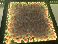 Effets de mariage Lumière LED Piste de danse Fleur Rose Plancher de scène