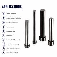 Pack d'échantillons de broches de poinçonnage SKD11 SKH51 TiCN polies, tailles personnalisées pour les tests de qualité des fournisseurs