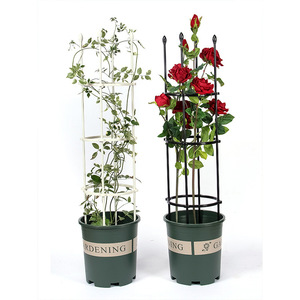 Treillis rond en fer pour plantes 120x30cm Noir Unité simple pour utilisation en extérieur dans le jardin - Product Image 3