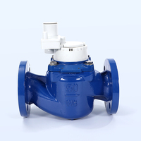 Compteurs d'eau à spirale détachable en fonte, compacts, prépayés, LORAWAN, IP68, à bride horizontale, OEM Chen Shuo, 50 m³/h, vente en gros
