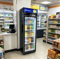 Réfrigérateur vertical en verre sur mesure 0~10°C, équipement de réfrigération commercial pour bières et boissons avec éclairage LED