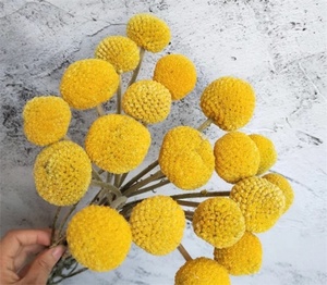 R-1030 Bán Buôn Hoa Khô Chất Lượng Cao <span class=keywords><strong>Billy</strong></span> Nút Vàng Bóng Bó Bảo Quản <span class=keywords><strong>Billy</strong></span> Nút Cho Trang Trí - Product Image 3