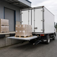Hayon hydraulique intégré pour camionnettes logistiques, capacité de charge lourde de 1500 kg