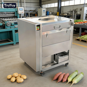 Machine à éplucher à brosse haute capacité 2000 <span class=keywords><strong>kg</strong></span>/h, laveuse commerciale de légumes pour le traitement des pommes de terre, des oignons et des carottes - Product Image 1