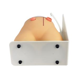 Cao cấp <span class=keywords><strong>ostomy</strong></span> & fistula điều dưỡng manikin-Mô hình giảng dạy y tế chuyên nghiệp cho đào tạo kỹ năng - Product Image 4