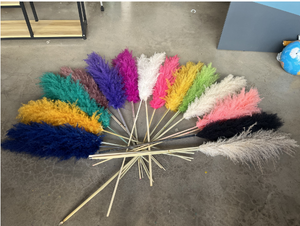 Pampas séchées 110-130 cm, nouvelles arrivées, fleurs décoratives naturelles, fleurs séchées moelleuses, grande herbe de la pampa - Product Image 4