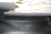 Tapis de drainage HDPE 20mm 30mm bord alvéolé étanche à l'eau Geonet Roadbed Garden Application Geocomposite Plastic Draining Board