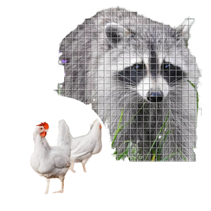 Hot Selling Galvanized 20 Ga 1/2 X 1/2 Welded <b>Wire</b> <b>Mesh</b> 36\"*30 M for Chicken Cages Plain Weave Steel Material From Kenya - Product Image 3