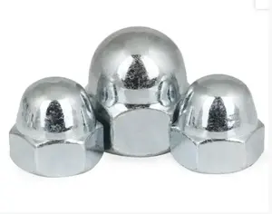 In stock factory price Stainless Steel Hex Acorn Cap Dome Nut Din1587
