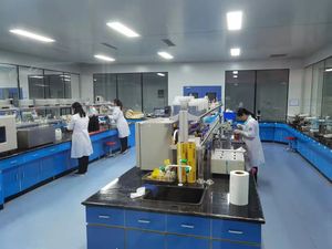 Tedarik takviyesi odaklı diyet takviyesi beslenme Wellness Boost doğal karışım 120 kapsül magnezyum glisinat - Product Image 6