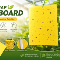 Piège à colle jaune pour insectes, forte adhérence, attrape-mouches, pucerons, moucherons, plaques de colle imperméables pour le contrôle des ravageurs des plantes
