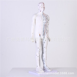 Mannequin anatomique d'acupuncture avec gravures artisanales, modèle de points d'acupuncture humains, 85CM - Product Image 4