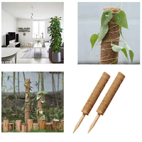 Poteau en coco durable et économique pour plantes grimpantes, utilisation intérieure/extérieure, remplissage de mousse pliable pour plantes, OEM ODM