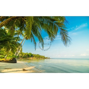 Peel and Stick Wallpapers Tropical Beach et Palm Tree Sea View - Product Image 6