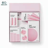 Kit de fitness éco-responsable pour yoga et Pilates avec ballon de yoga, anneau de Pilates, poids de cheville en silicone, bandes d'étirement et de résistance